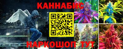 ПСИЛОЦИБИНОВЫЕ ГРИБЫ Камышлов