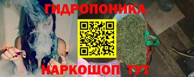 ECSTASY Кингисепп