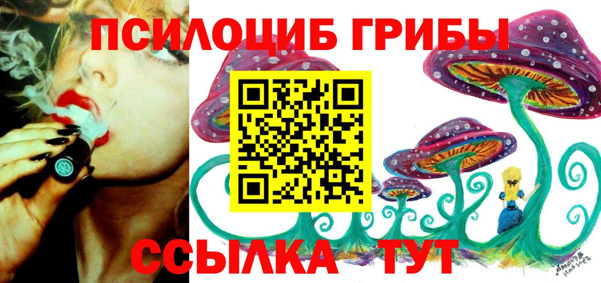 Котлас  Псилоцибиновые грибы Magic Shrooms  Вход с VPN 