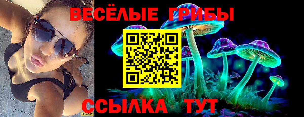 Галлюциногенные грибы прущие грибы Котлас